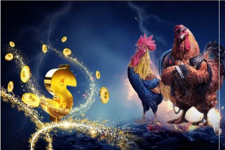 Tiêu đề: Trải Nghiệm Đá Gà Xoso66 Với Sân Chơi Hấp Dẫn Uy Tín